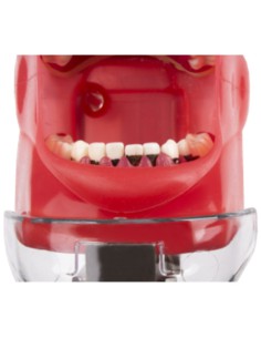 Cálculo Dental para Tipodonto Periodontal Recarga 30 ml Bader 2