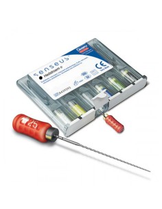 Limas Hedstroem Senseus 21mm Caja 6 uds Maillefer