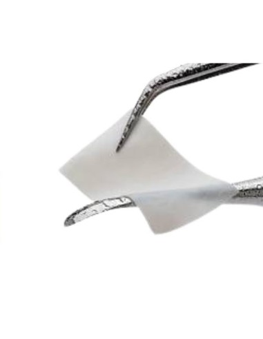 Membrana de Colágeno Reabsorbible ActyColl Tiss'You