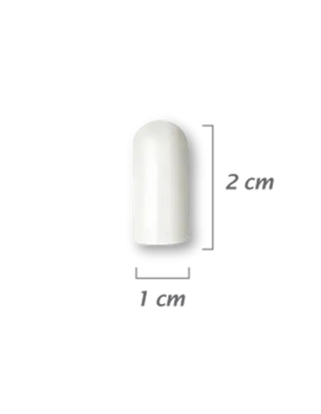 Esponja Hemostática Colágeno Cytoplast RTM Plug 10x12mm Caja 10 uds Osteogenics