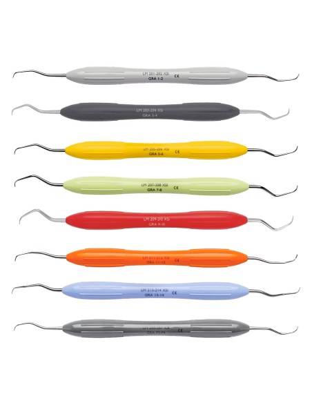 Cureta Gracey ErgoMax Periodoncia LM Dental