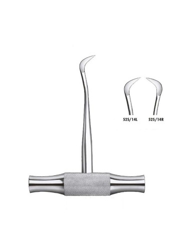 Botador Winter 14R o 14L Elevador de Raíces Carl Martin