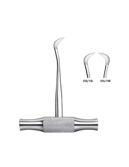 Botador Winter 14R o 14L Elevador de Raíces Carl Martin