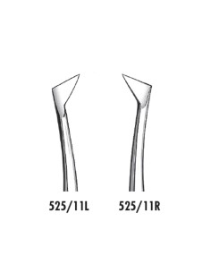 Botador Winter 11L o 11R Elevador de Raíces Carl Martin 2