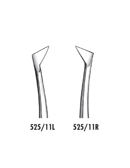 Botador Winter 11L o 11R Elevador de Raíces Carl Martin
