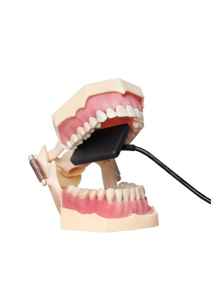 Sensor de Rayos X Digital HDR 600A Área 36 x 27 mm Bader Dental