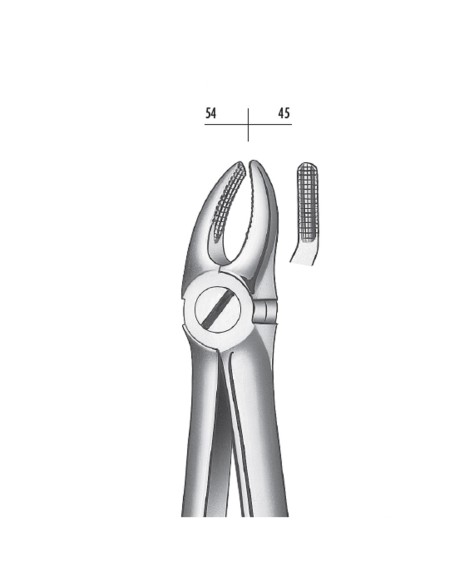 Fórceps Extracción Büchs Premolares Superiores, Modelo Pequeño, Carl Martin