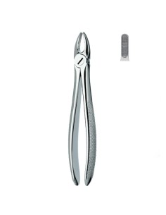 Fórceps Pequeño Extracción, Incisivos y Caninos Superiores Carl Martin