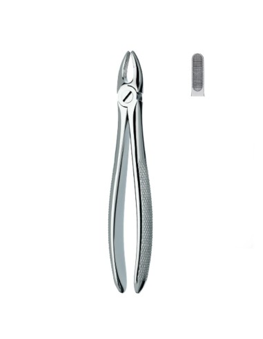 Fórceps Pequeño Extracción, Incisivos y Caninos Superiores Carl Martin