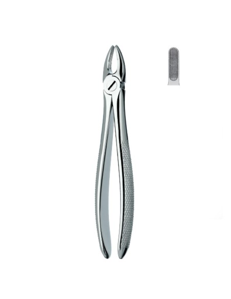 Fórceps Pequeño Extracción, Incisivos y Caninos Superiores Carl Martin
