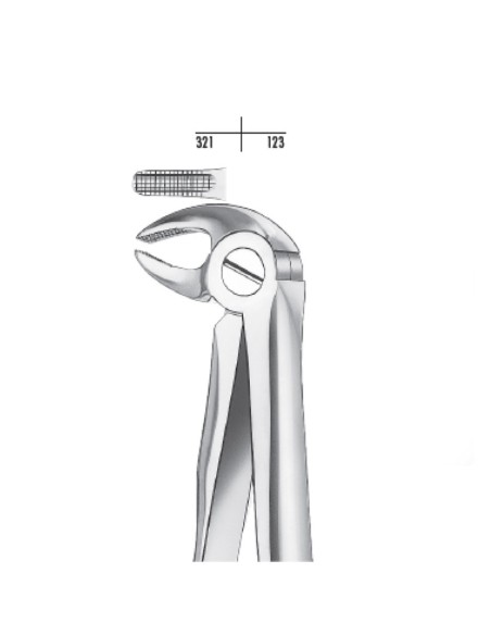 Fórceps de Extracción Incisivos, Caninos Inf. y Premolares, Modelo Pequeño, Carl Martin