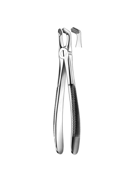 Forceps E79 Cordales Inferiores Carl Martin