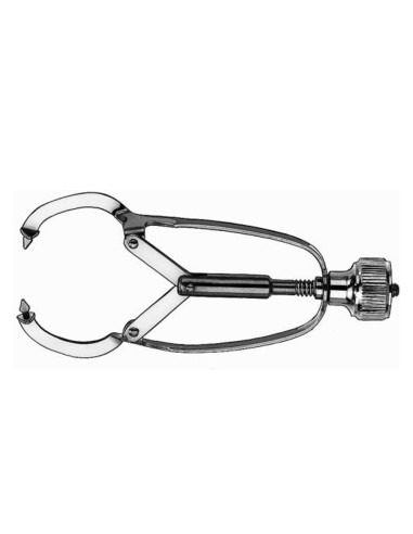 Portamatrices Ivory 597 Carl Martin