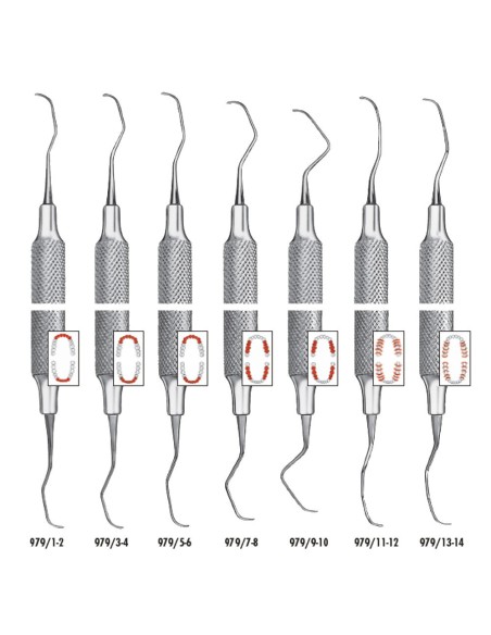 Cureta Gracey Ergotouch Acero Inox de 1-2 a 13-14, 1ud Carl Martin