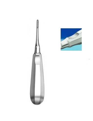 Elevador Raíces Apical Recto, Ergonómico Carl Martin