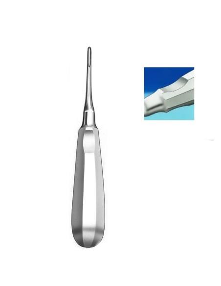 Elevador Raíces Apical Recto, Ergonómico Carl Martin