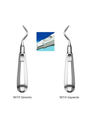 Elevador Raíces Apical Angulado Izquierda o Derecha, Ergonómico con Muesca Carl Martin