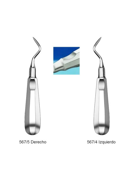 Elevador Raíces Apical Angulado Izquierda o Derecha, Ergonómico con Muesca Carl Martin