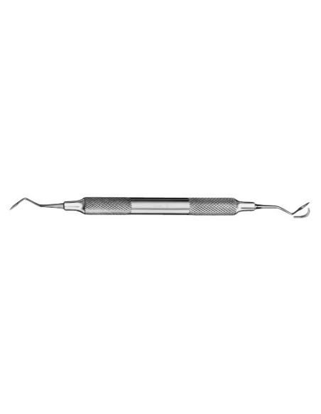 Scaler Raspador Taylor T2-T3 Ergotouch Acero Inox Carl Martin