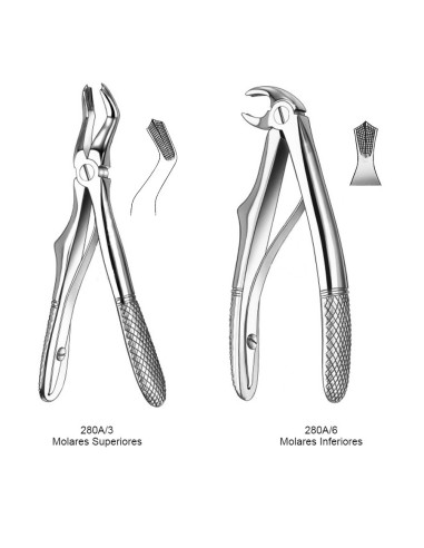 Fórceps Klein Infantil con Resorte, Molar Superior o Inferior Carl Martin