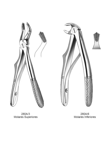 Fórceps Klein Infantil con Resorte, Molar Superior o Inferior Carl Martin