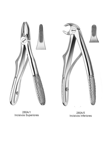 Fórceps Klein Infantil con Resorte, Incisivos Superiores o Inferiores Carl Martin