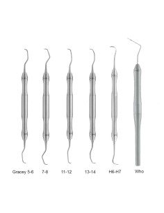 Paro Set LiquidSteel 6 instrumentos y Caja, Periodoncia LS3020 Carl Martin 2