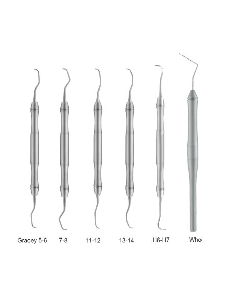 Paro Set LiquidSteel 6 instrumentos y Caja, Periodoncia LS3020 Carl Martin