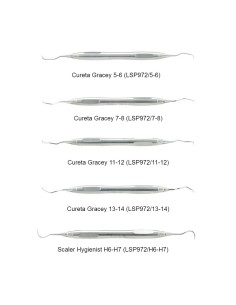 Paro Set LiquidSteel Passion 5 instrumentos y Caja, Periodoncia LSP3020 Carl Martin 2