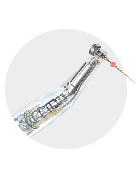 Motor Endodóntico X-Smart Pro+ Inalámbrico con Localizador de Apices, Reciprocante Dentsply