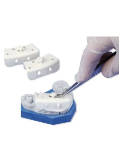 Miratray Mini Cubetas para Impresiones Individuales Pequeñas 50 uds Hager Werken 2