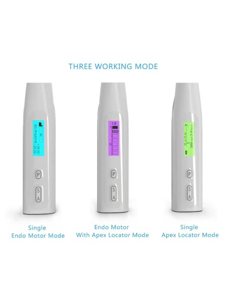 Motor de Endodoncia con Localizador Apical C-Smart Mini AP, CA Reciprocante, Coxo