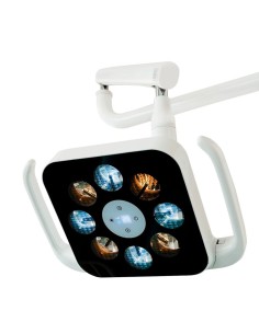 Unidad Dental Flex Up M8 Plus Bader 2