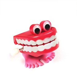 Porta Pasta / Cepillos Grande 10uds.