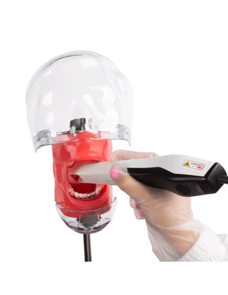 Fantoma Periodontal con Tipodonto de 28 Dientes, Anclaje a Mesa Bader