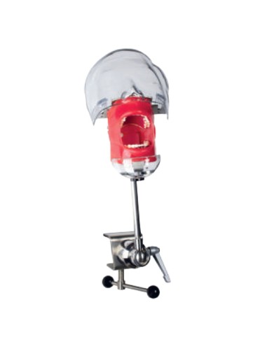 Fantoma Periodontal con Tipodonto de 28 Dientes, Anclaje a Mesa Bader