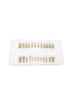Dientes Reposición Tipodonto Tipo Frasaco AG-3 Bolsa 32 uds.