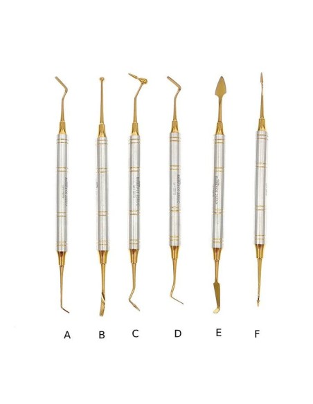 Kit Instrumentos Composite Titanio Dorado 6 uds con Estuche Masters