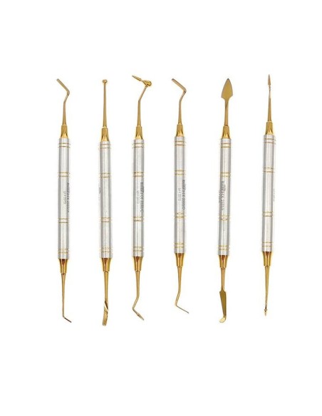 Kit Instrumentos Composite Titanio Dorado 6 uds con Estuche Masters