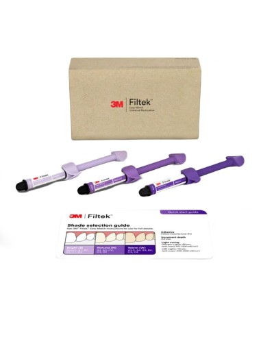 Filtek Easy Match Composite Universal Intro Kit 4 g 3M