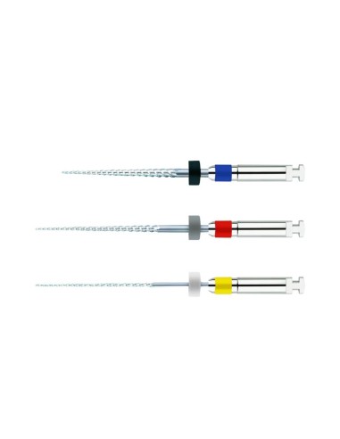 Limas NiTi Hero 642 Conicidad 04 L 21 mm Conformado 6 unidades MicroMega Coltène