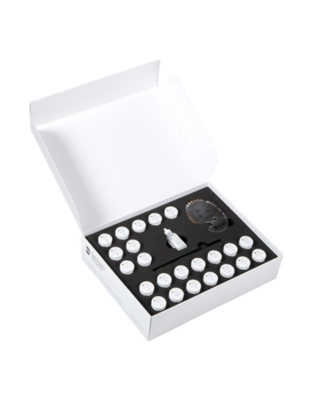 Kit Maquillajes Universales y Glaseado DS Dentsply Degudent
