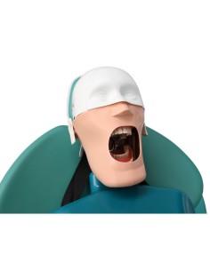 Modelo Estudio JG-C4 Adosado al Respado del Equipo