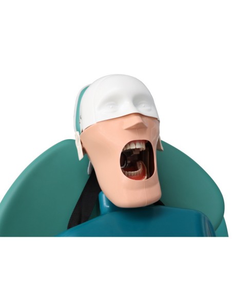 Modelo Estudio JG-C4 Adosado al Respado del Equipo