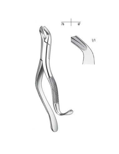 Fórceps Harris para Molares Inferiores Carl Martin