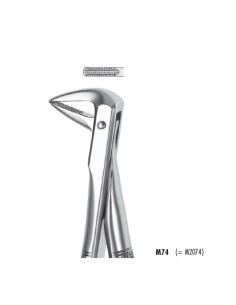 Fórceps de Extracción Raíces Inferiores Modelo Pequeño Carl Martin