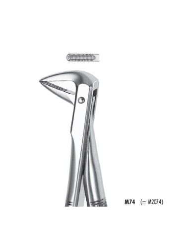 Fórceps de Extracción Raíces Inferiores Modelo Pequeño Carl Martin