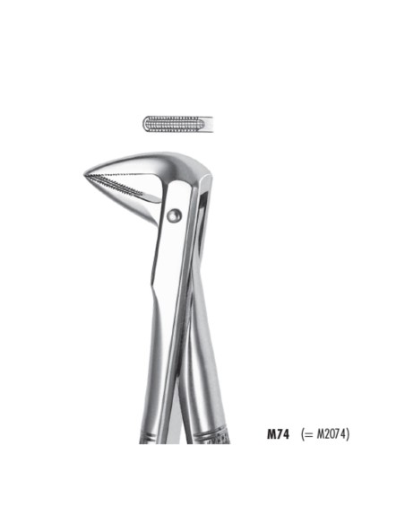 Fórceps de Extracción Raíces Inferiores Modelo Pequeño Carl Martin