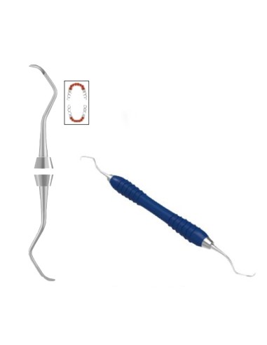 Raspador Scaler Universal Colori Silikon