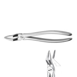 Forceps E51A para Raíces  Superiores
